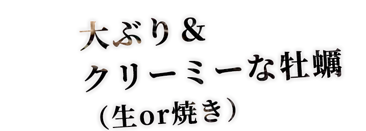 大ぶり＆クリーミーな牡蠣（生or焼き）